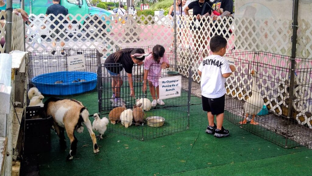 ふれあい動物園