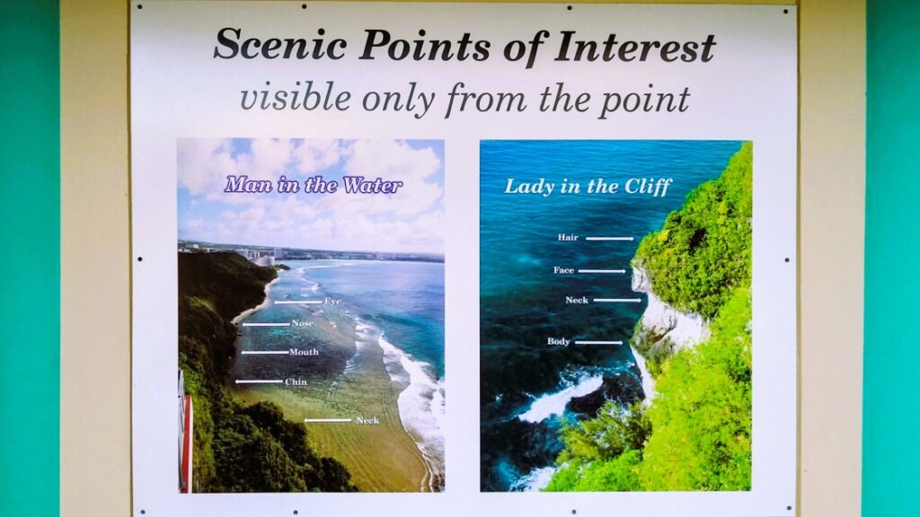 展望台からの景色についての説明