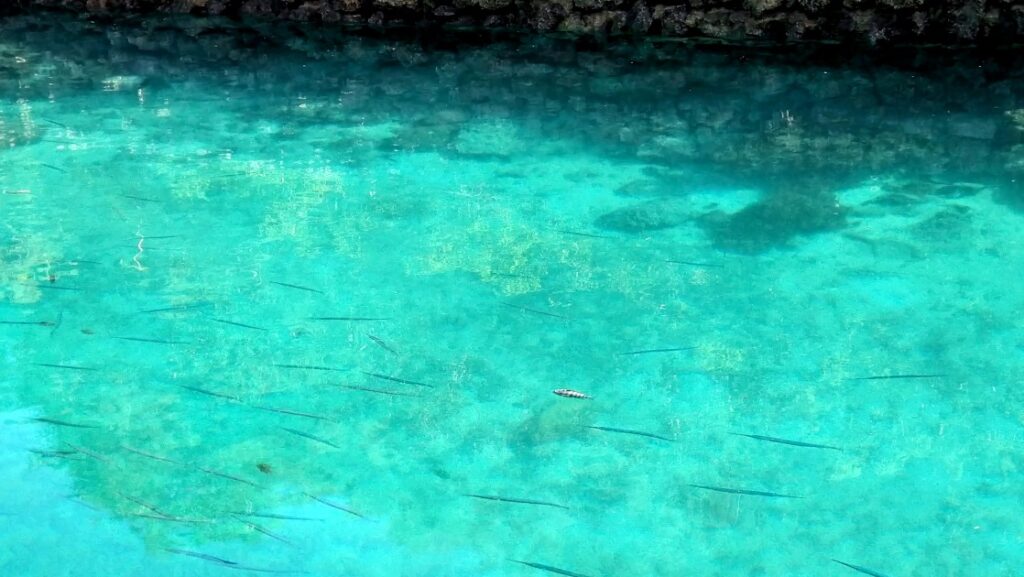 エメラルドバレー