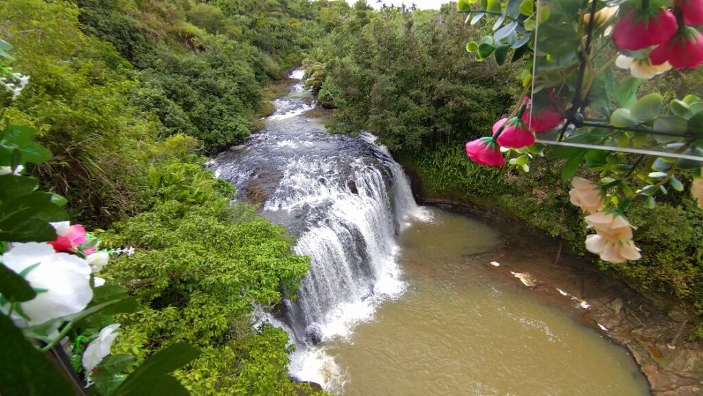 窓から見えるタロフォフォの滝