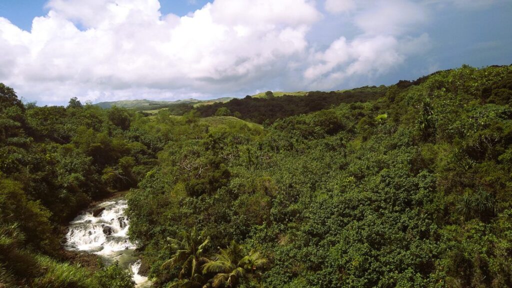 タロフォフォの滝公園