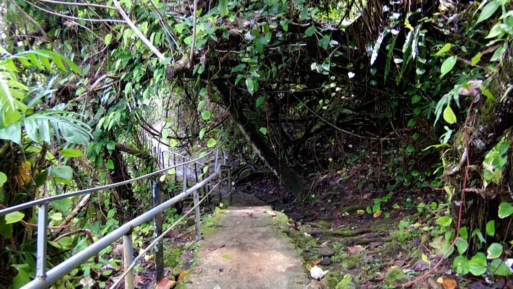 カフェの裏の小道