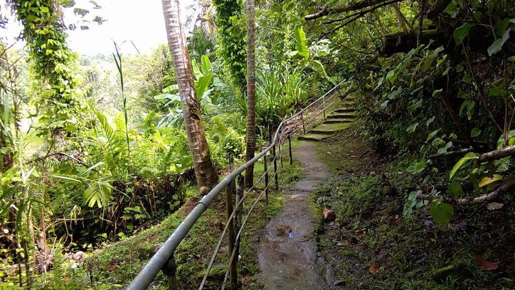 横井ケーブへと続く小道
